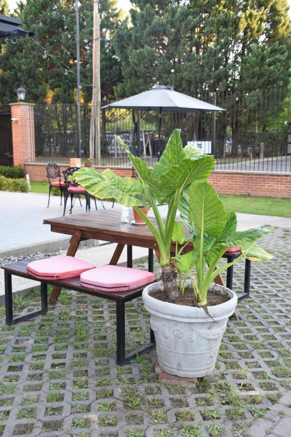 Casa Campus Pilar Suites Kültér fotó